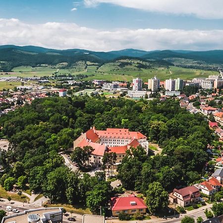 Palace Art Hotel Pezinok Eksteriør billede
