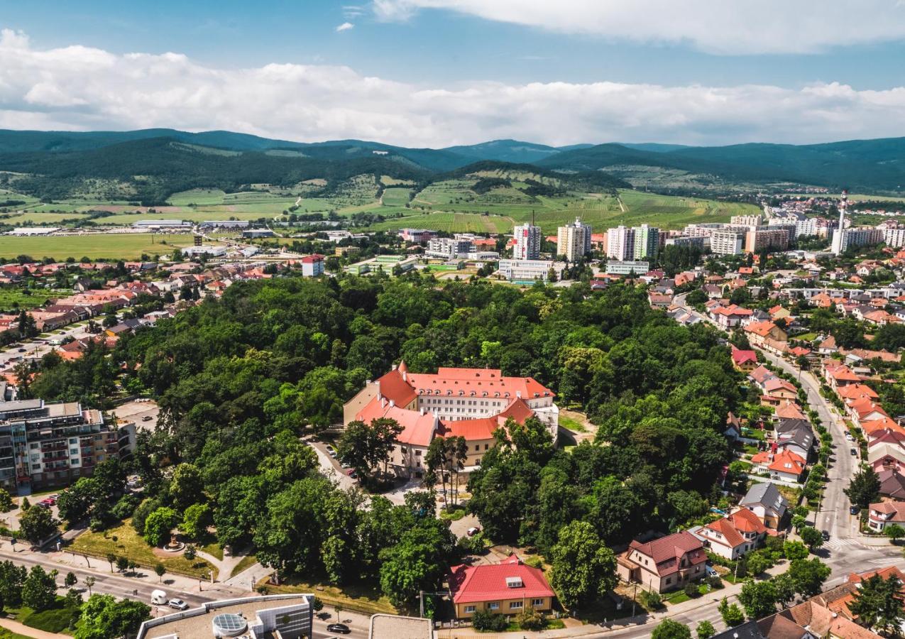 Palace Art Hotel Pezinok Eksteriør billede